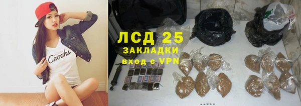 индика Алексеевка