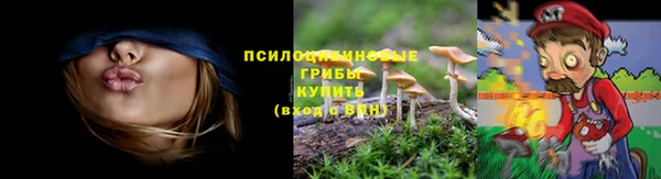 мет Алзамай