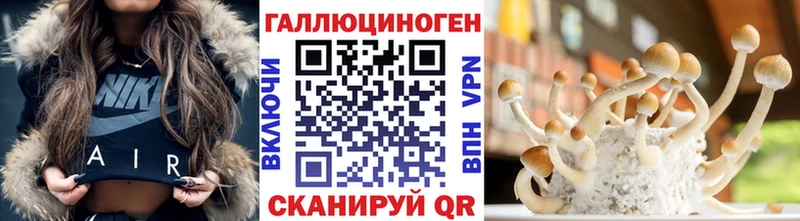 Галлюциногенные грибы Cubensis магазин Лесосибирск