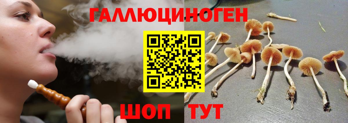 Псилоцибиновые грибы ЛСД Лесосибирск